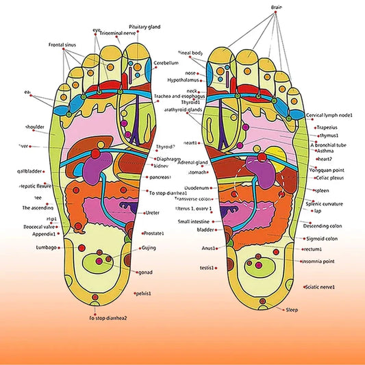 Acupressure Foot Massage Slippers Reflexology Massager Sandal Size 8 (1 Pair)