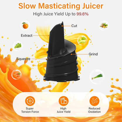 Manual Juicer Modern Plastic Fruit and Vegetable Juicer (1 Pc / Bowl Not Included)