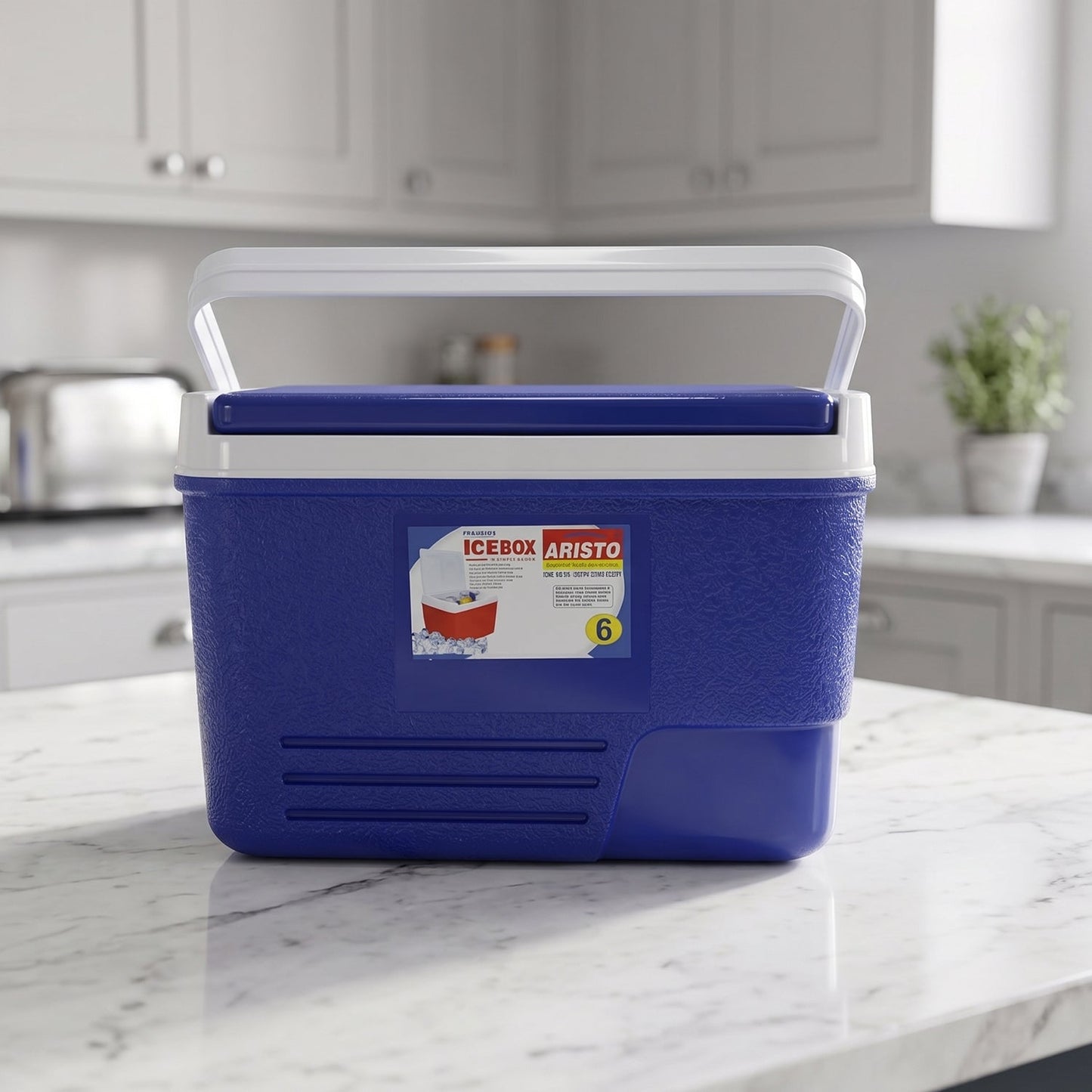 Portable Insulated Ice Cooler Box with Carry Handle (1 Pc, Blue / 6Ltr)