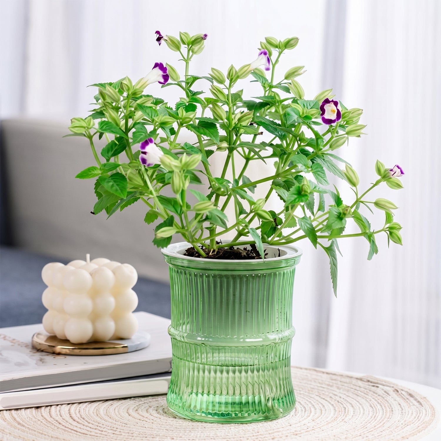 Watering Planter 