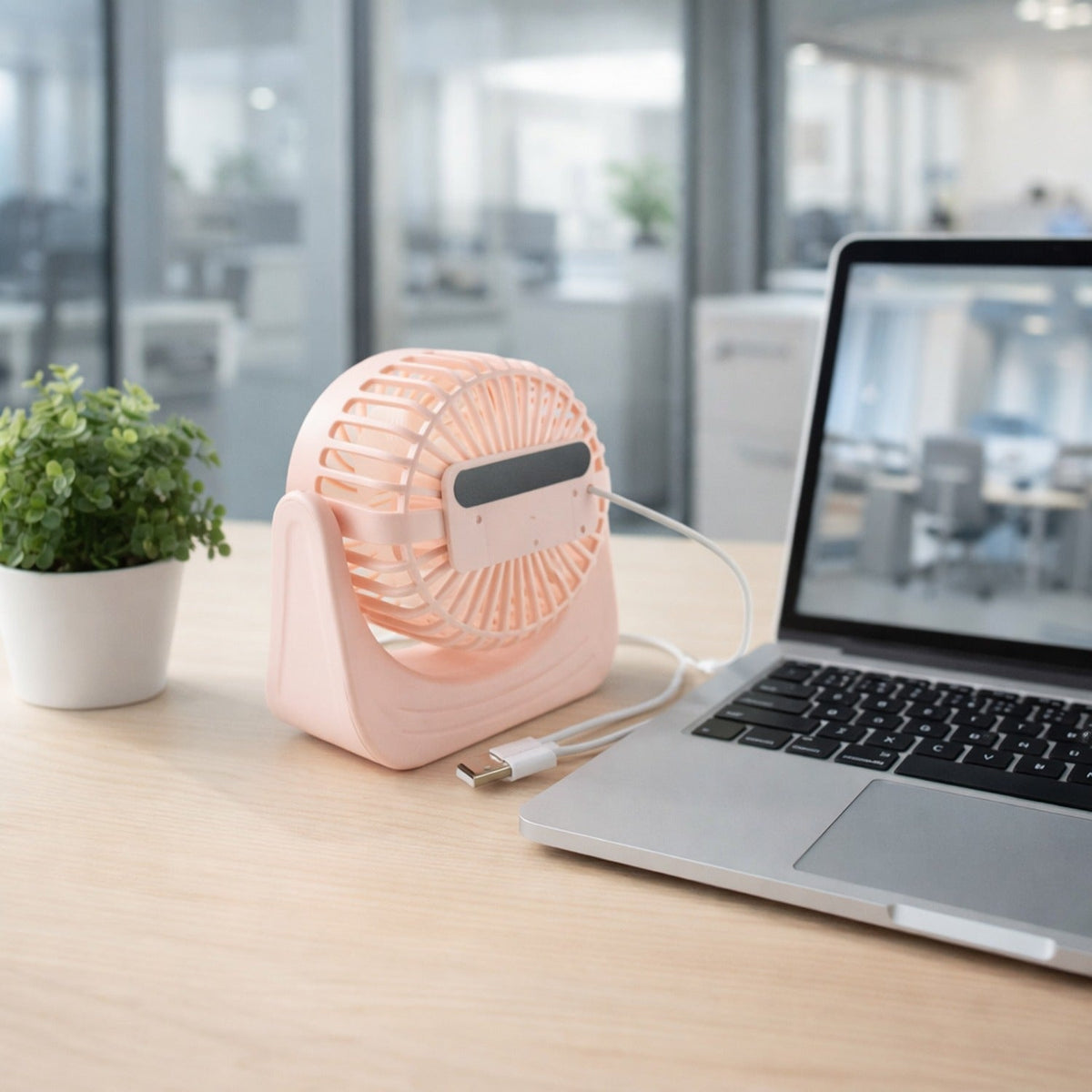 Portable Fan